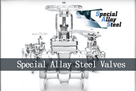 KITZ Special Alloy Steel valves