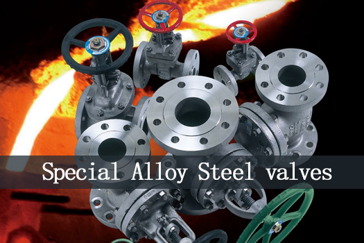 Special Alloy Steel valves